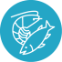 Seafood