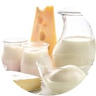 Dairy Products