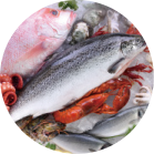 Seafood & Aquatic Products